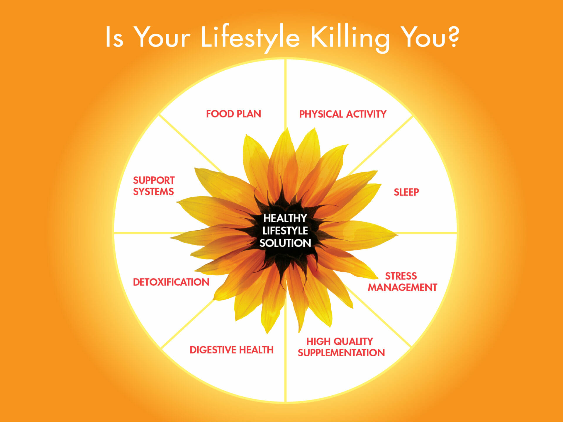 Healthy Lifestyle Solution Wheel